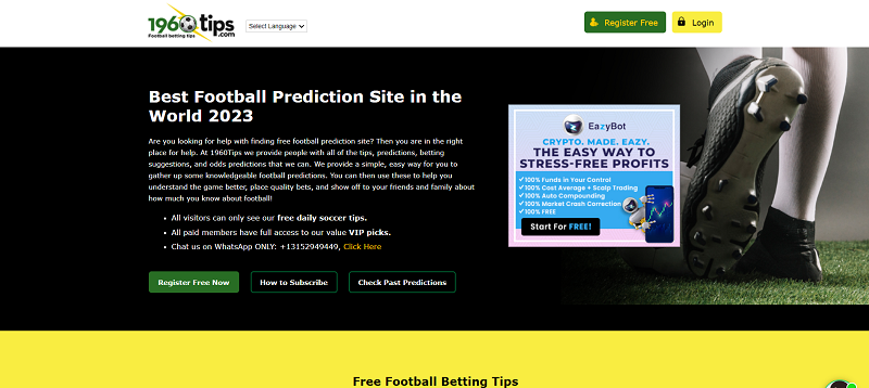 best vip prediction site in the world